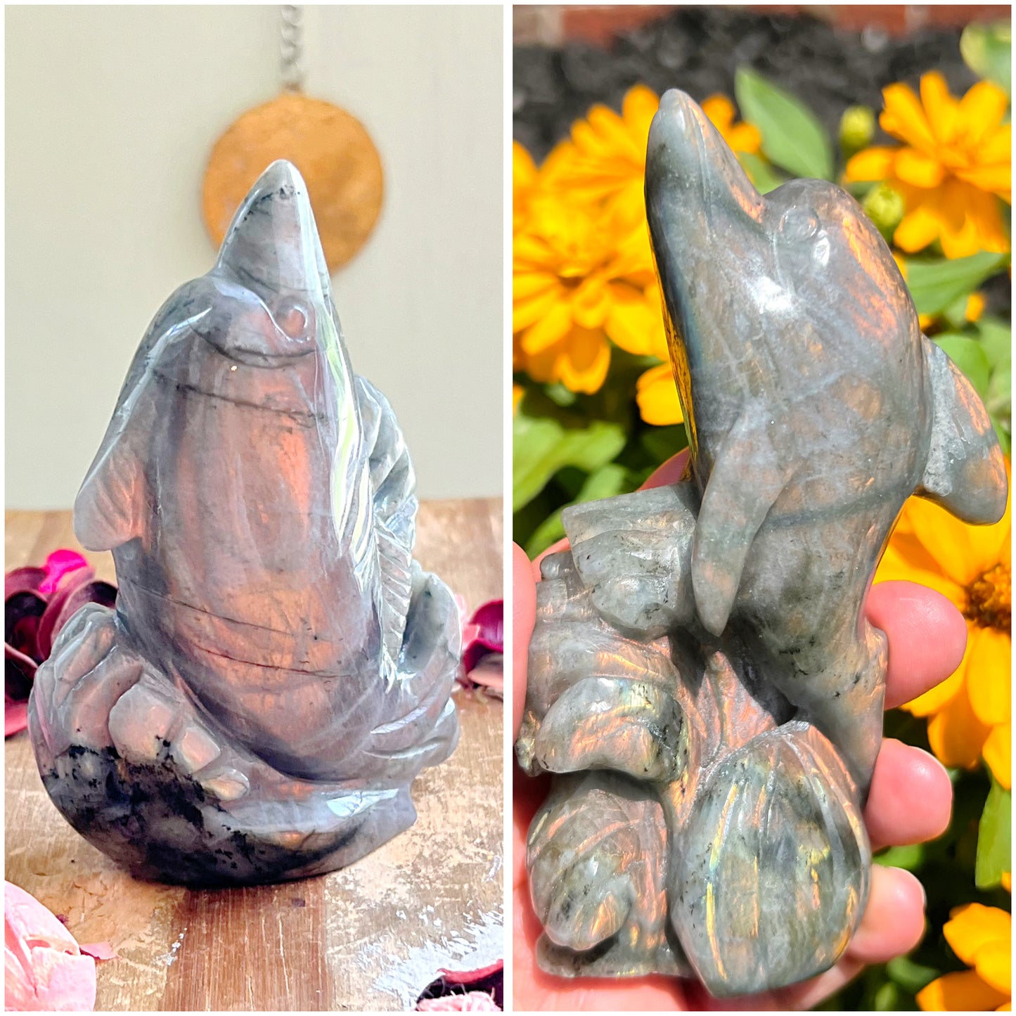 Sunset Labradorite Dolphin Carvings