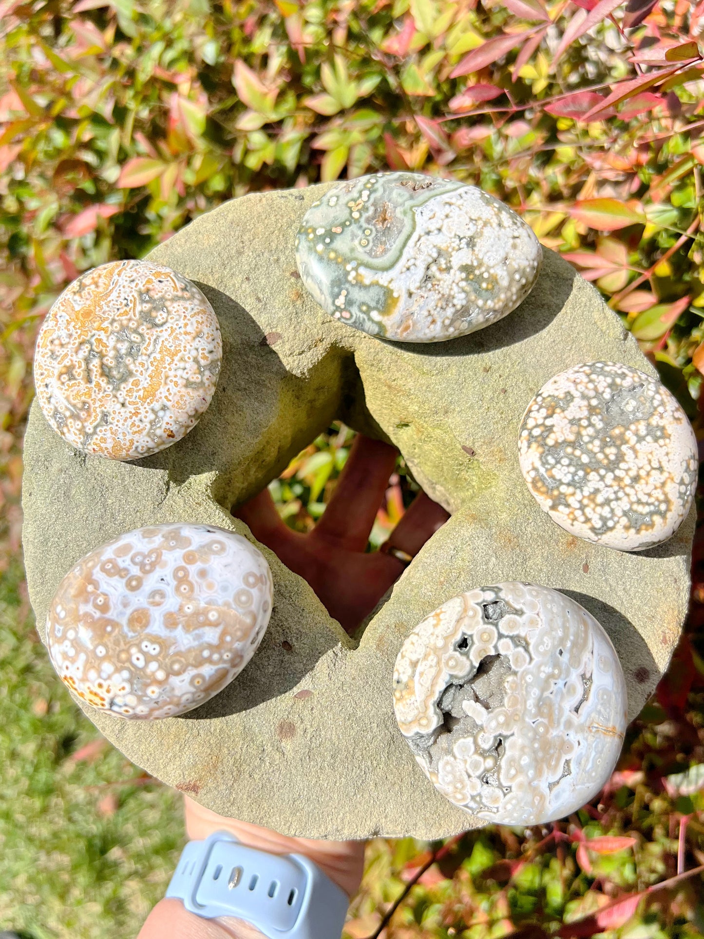 Druzy 8th Vein Ocean Jasper Palm Stones