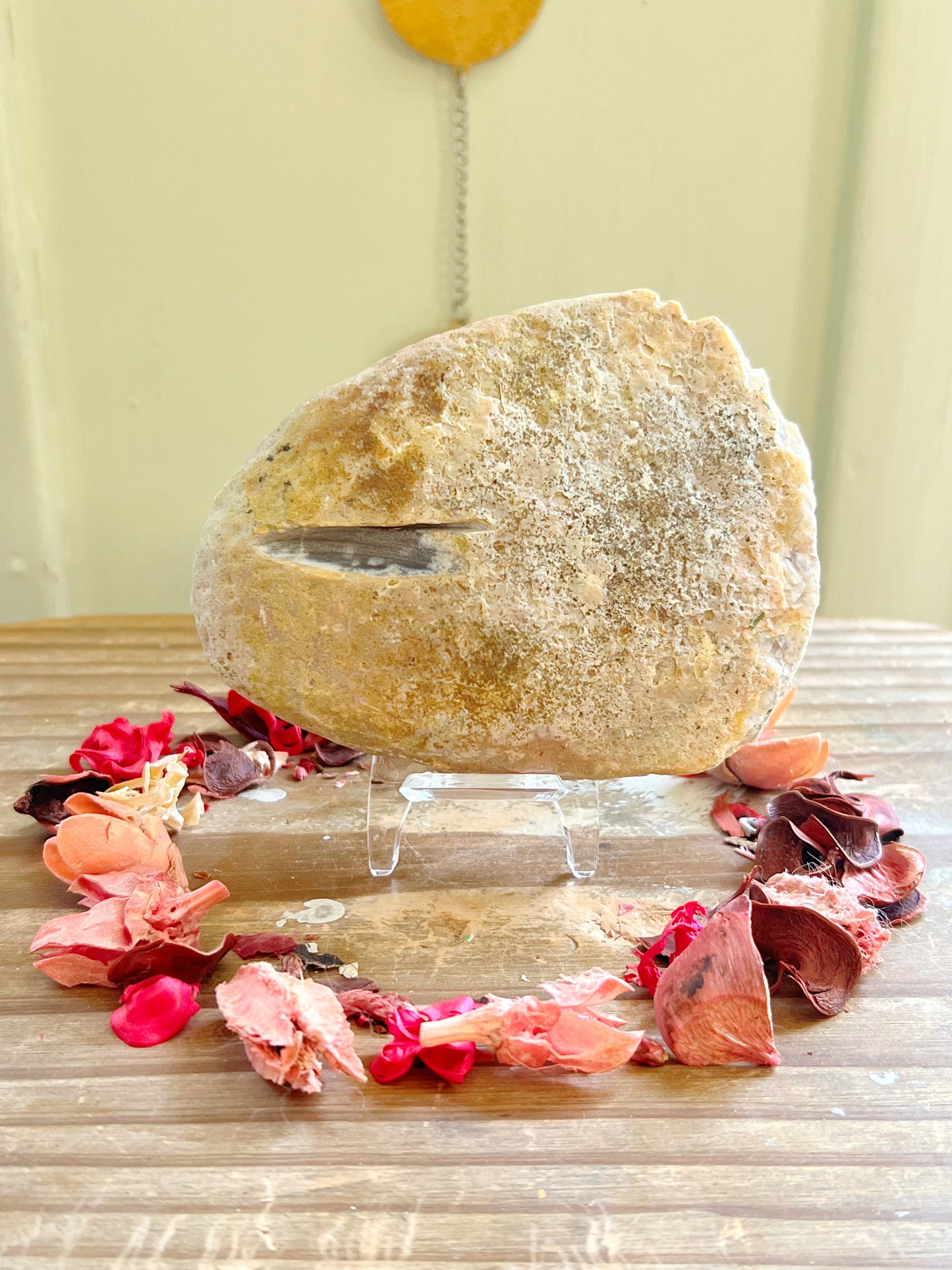 Enhydro Agates With Stands