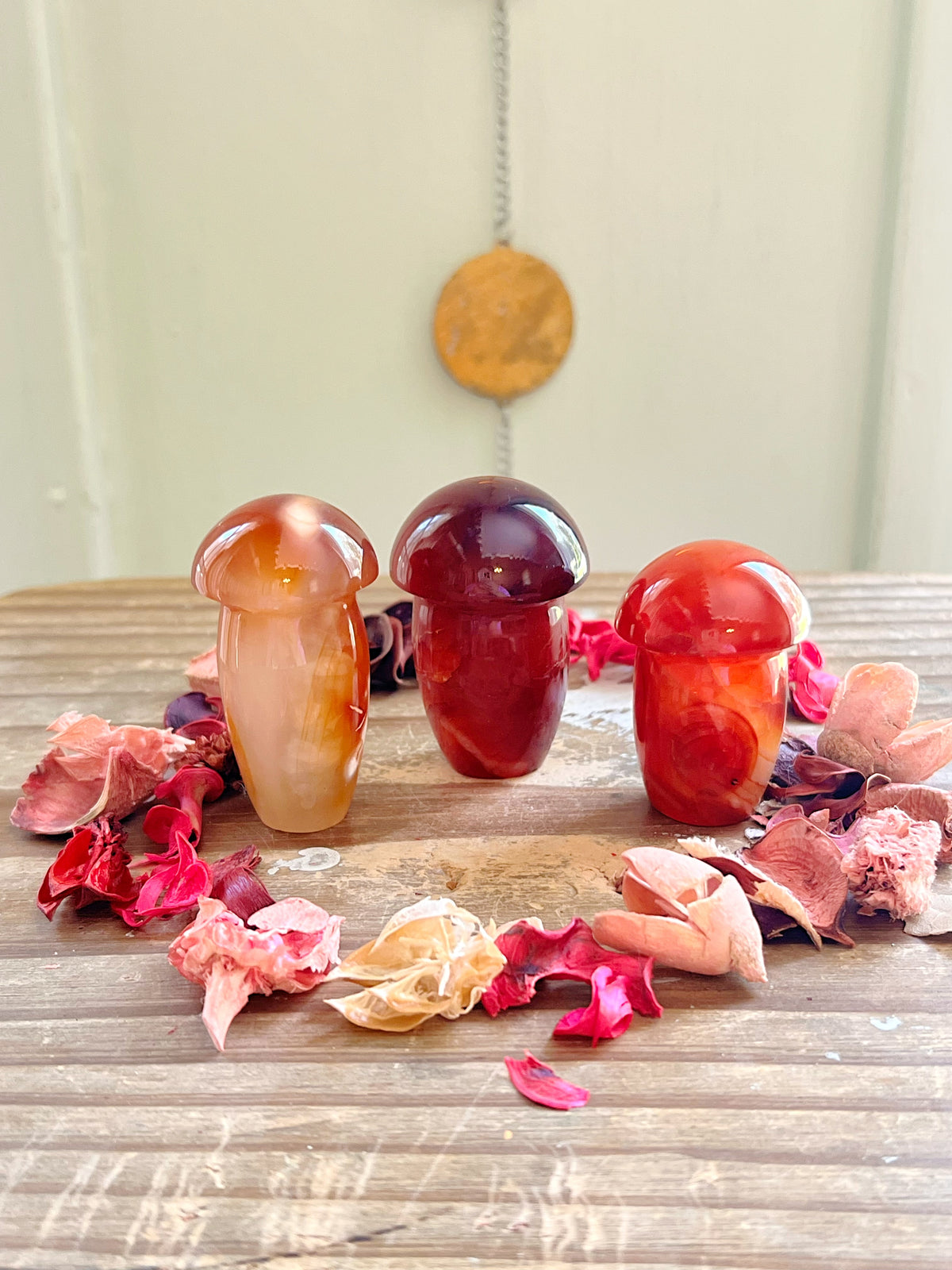 Carnelian Mushroom Carvings