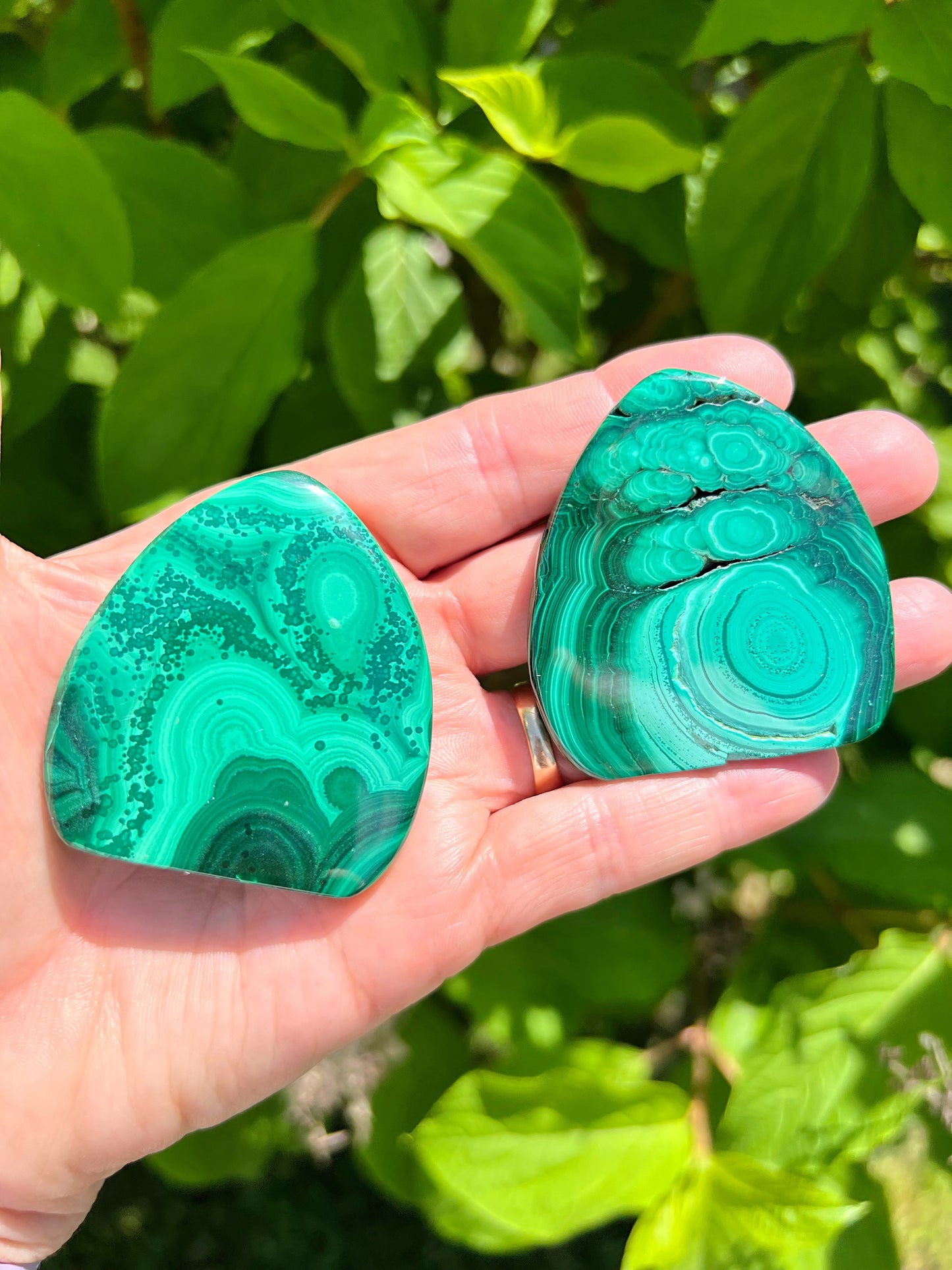 Malachite Freeforms