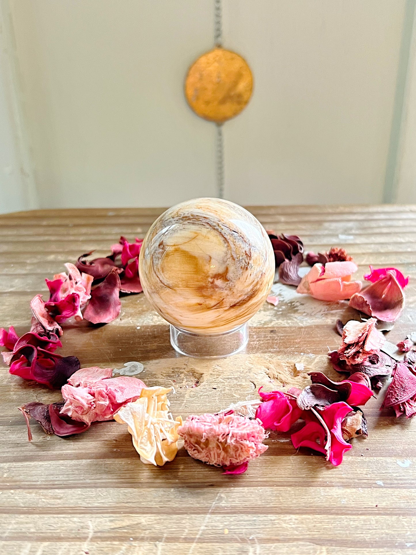 Petrified Wood Spheres