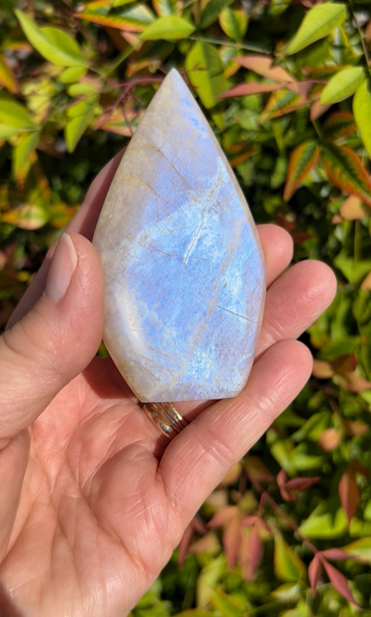 Blue Flash Moonstone Freeforms