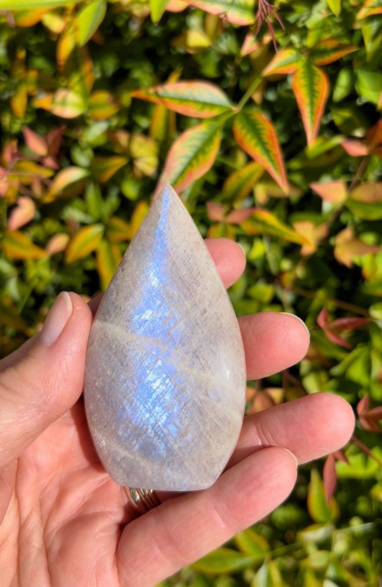 Blue Flash Moonstone Freeforms