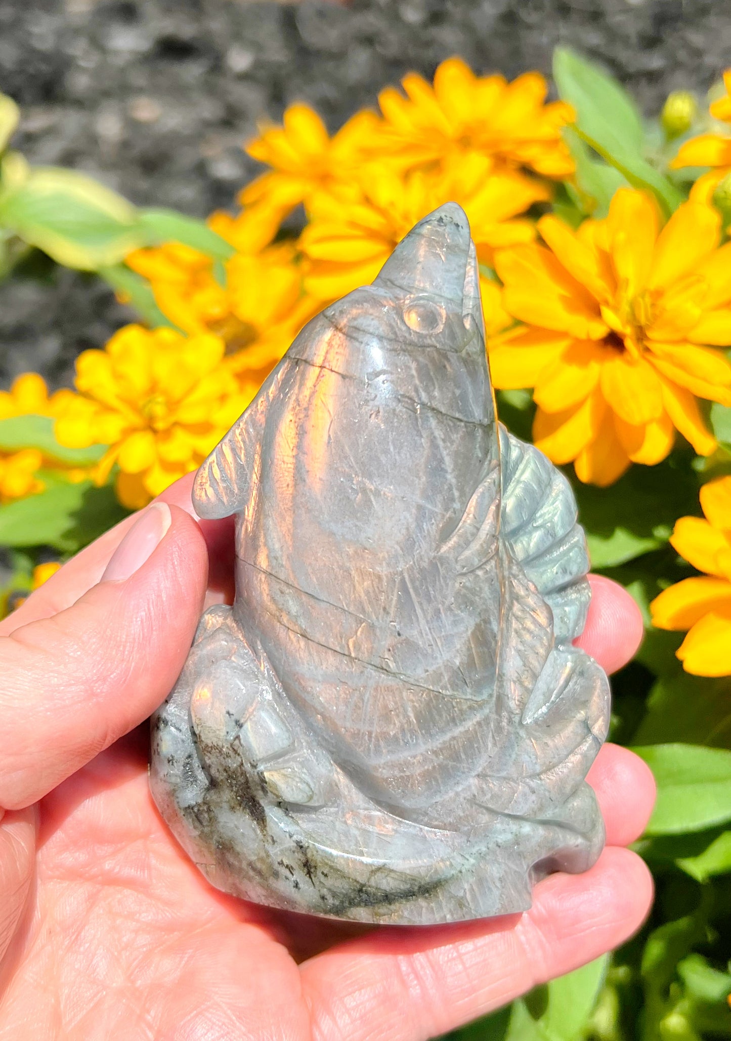 Sunset Labradorite Dolphin Carvings