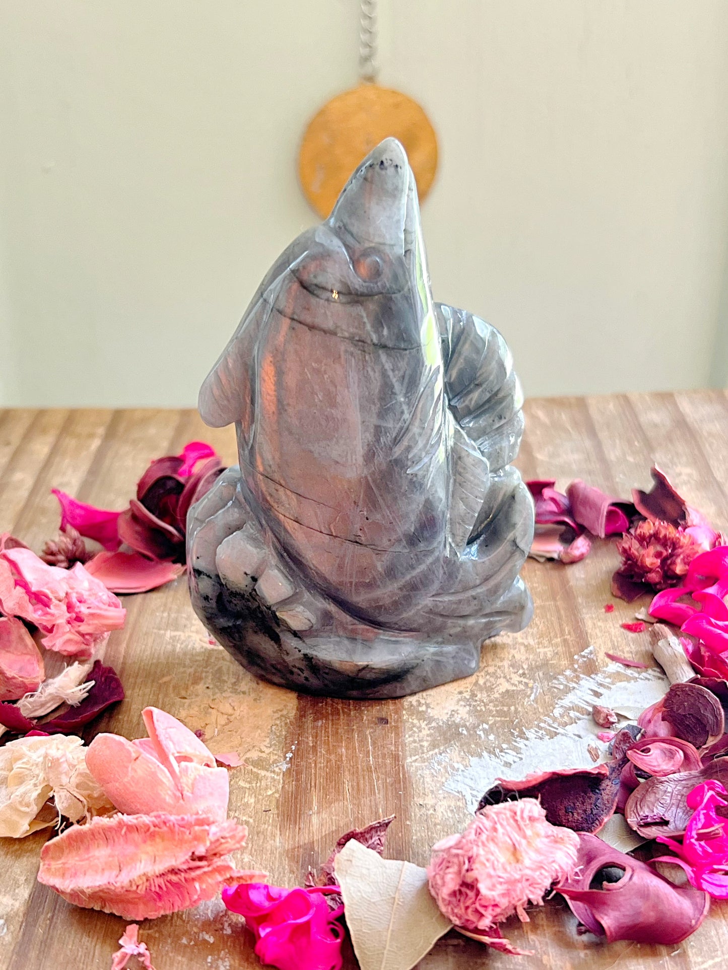 Sunset Labradorite Dolphin Carvings