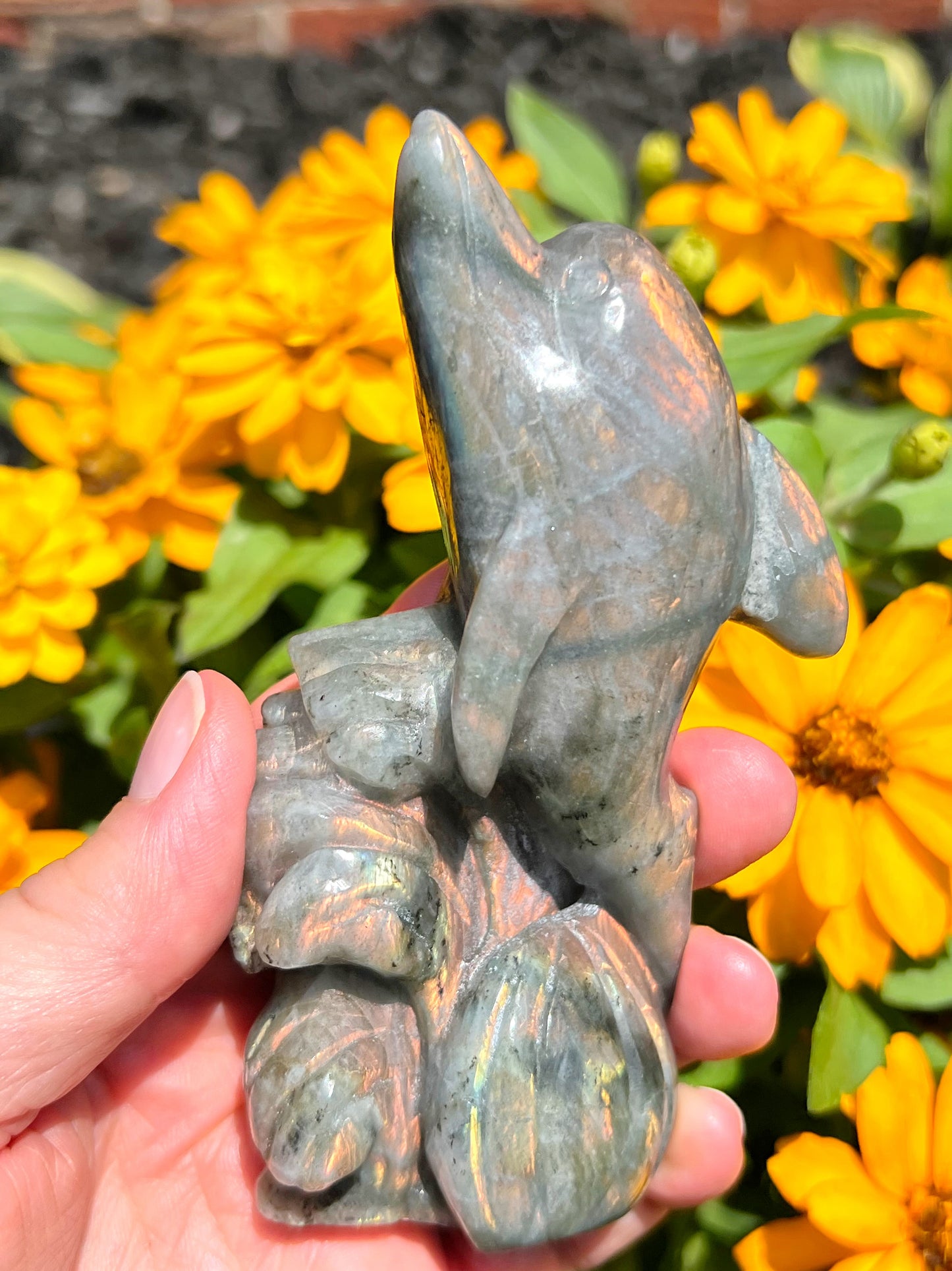 Sunset Labradorite Dolphin Carvings