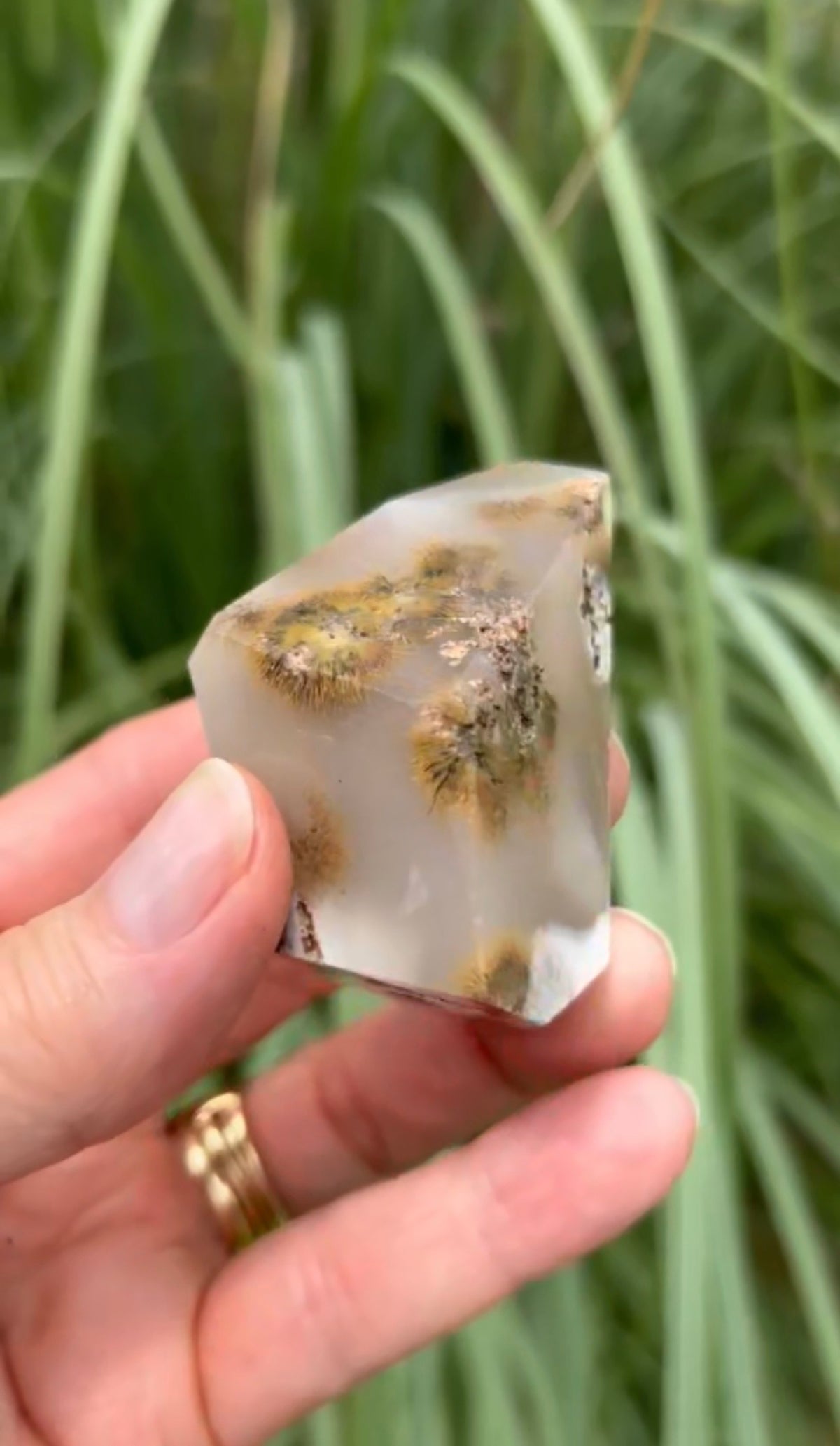 Golden Rutile Agate Freeforms