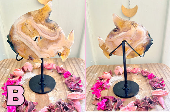 Rose and Quartz - Carvings - XL Druzy Agate Fish on Stand B
