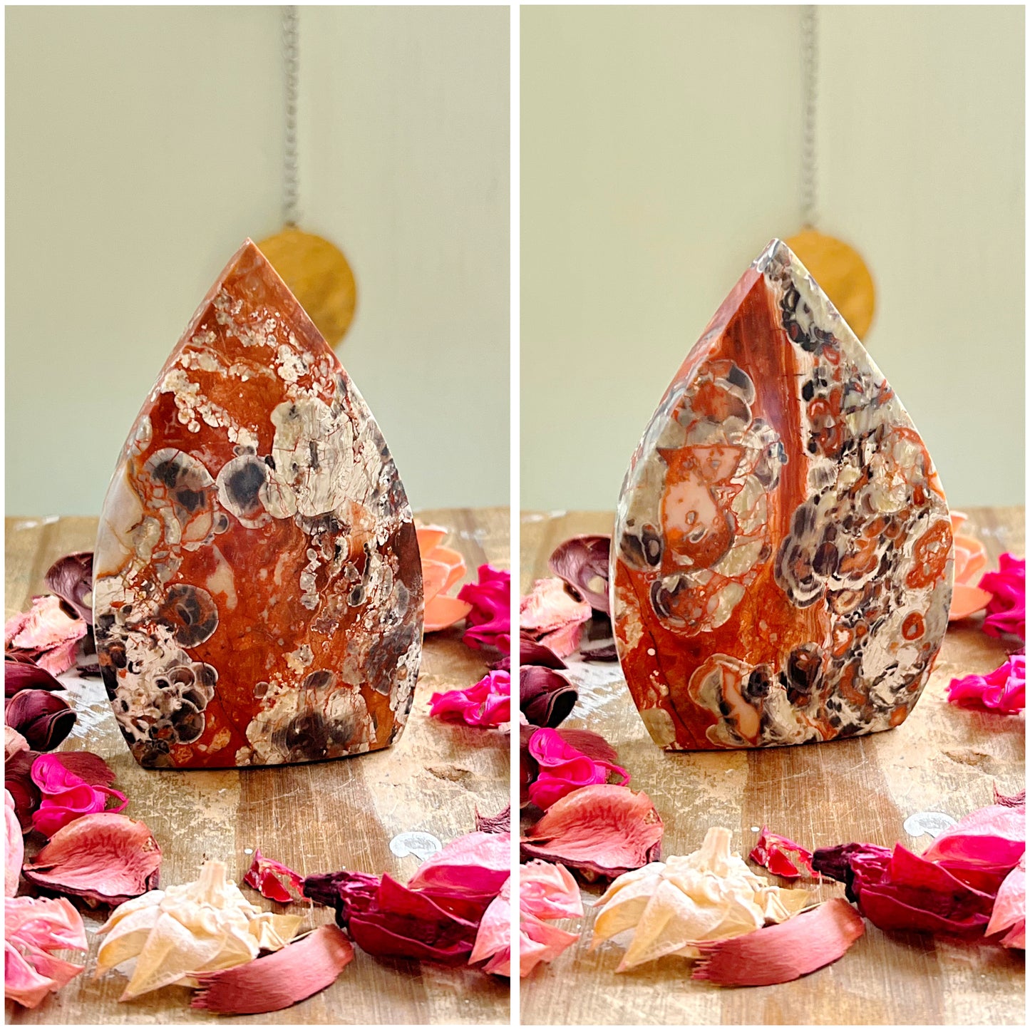 Coin Agate Freeforms