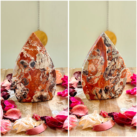 Coin Agate Freeforms