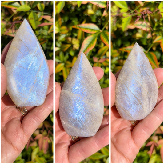 Blue Flash Moonstone Freeforms