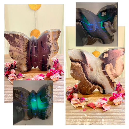 XL Volcano Agate Butterflies UV REACTIVE