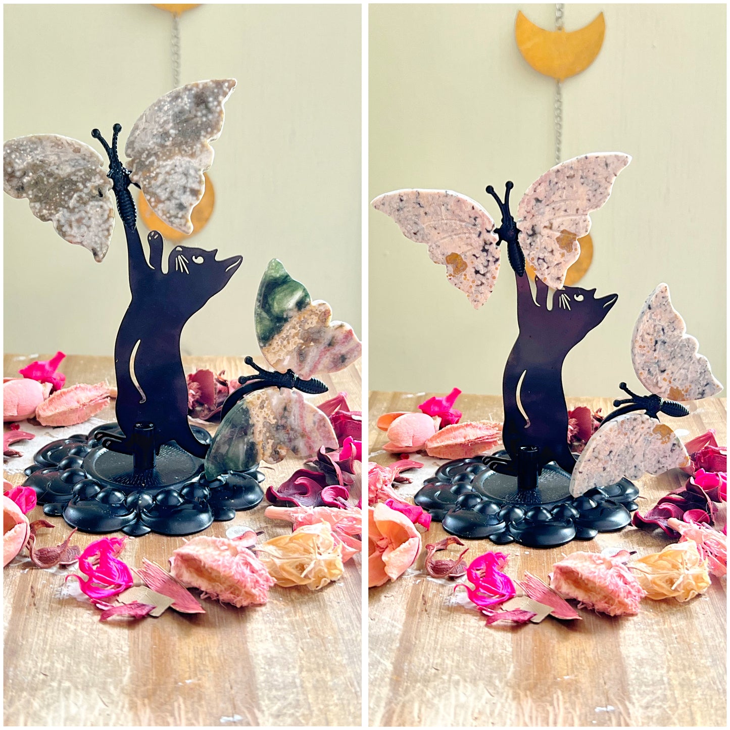 Orbicular Ocean Jasper Butterflies with Cats