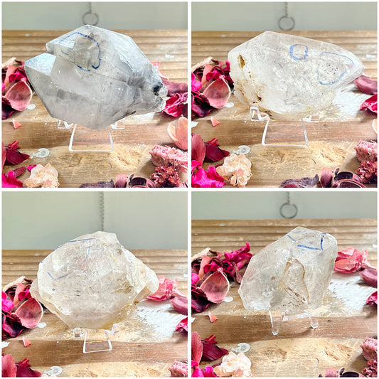 Rare Enhydro Quartz with Stands