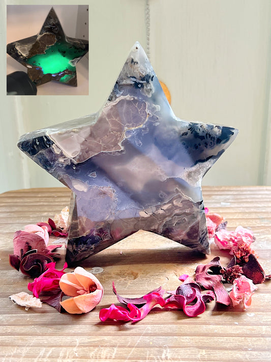 XL Volcano Agate Star UV REACTIVE
