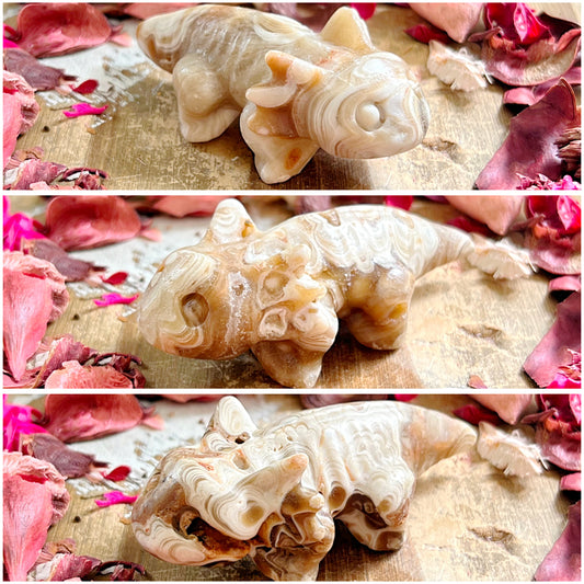 Amber Calcite Axolotl Carvings