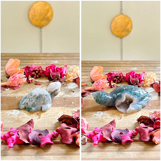 Druzy Moss Agate Sea Turtles