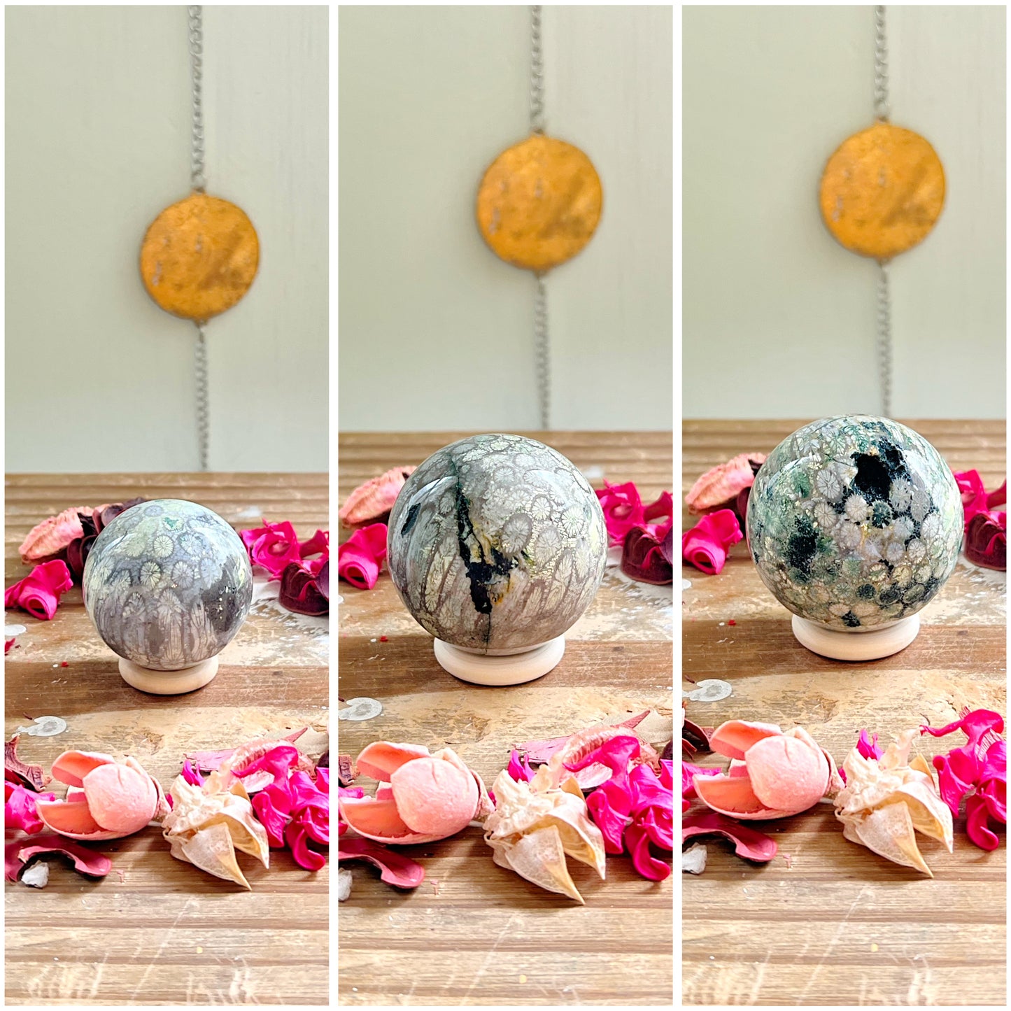 Fossilized Coral x Jasper Spheres