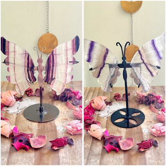 Fluorite Butterfly Wing Pairs