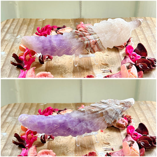 Amethyst x Mexican Lace Agate Feathers on Stands