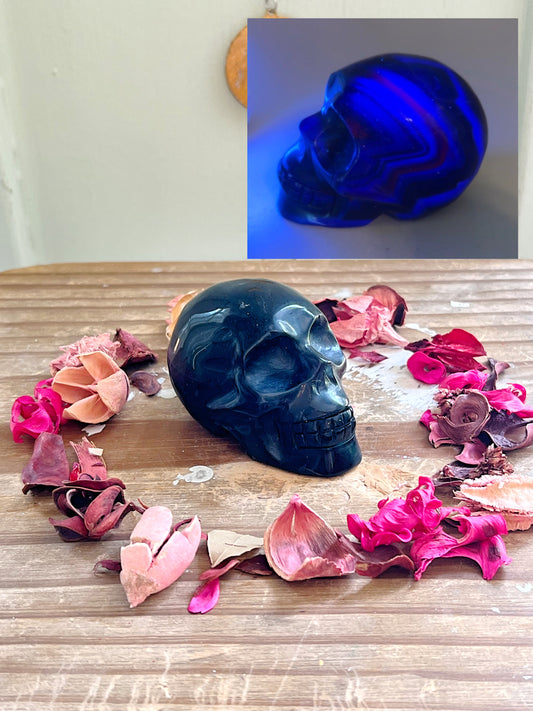 Blue Rose Fluorite Skull UV REACTIVE