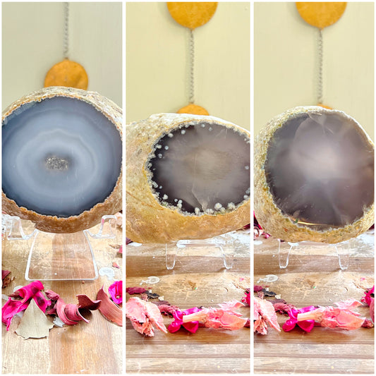 Enhydro Agates With Stands