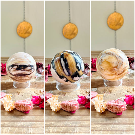Petrified Wood Spheres