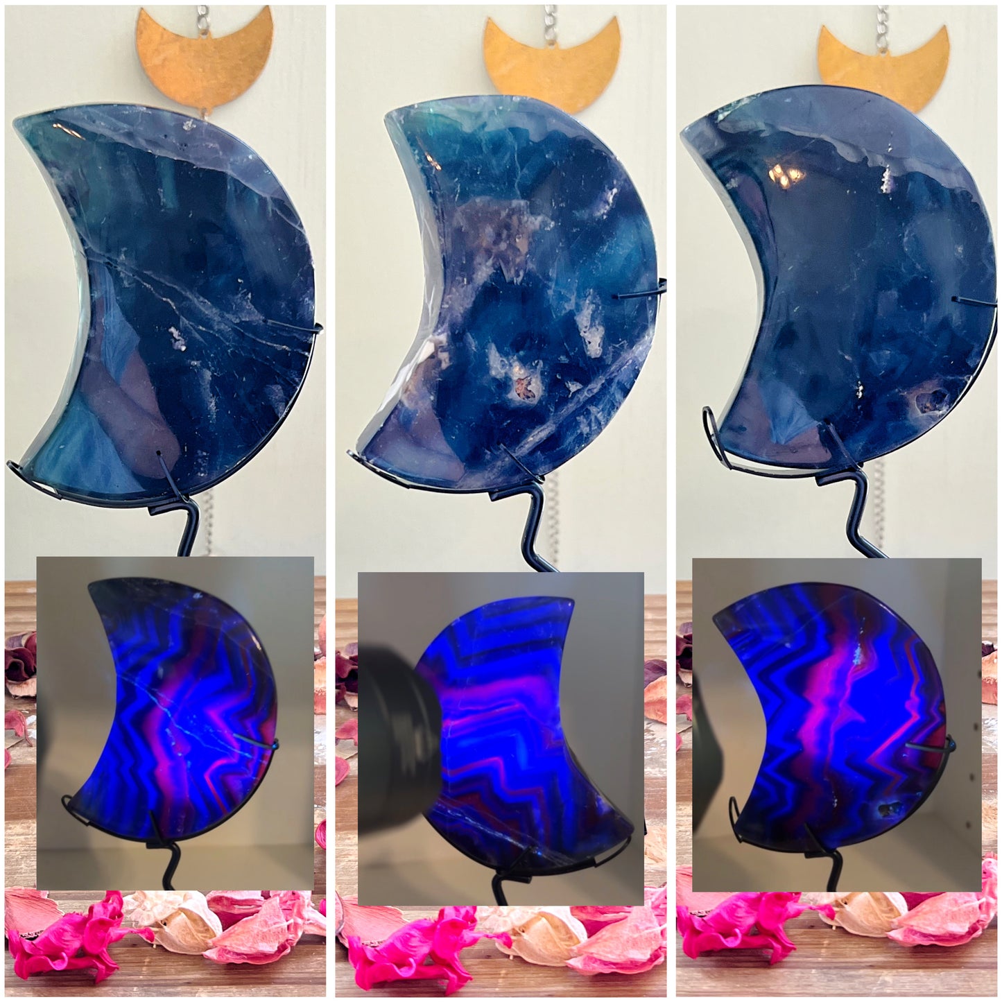 Blue Rose Fluorite Moons on Stands UV REACTIVE