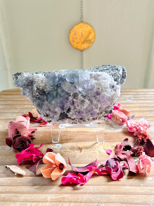Cubic Fluorite on Matrix with Stand