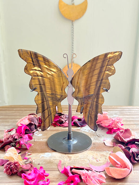 Tiger Eye Butterfly Wings