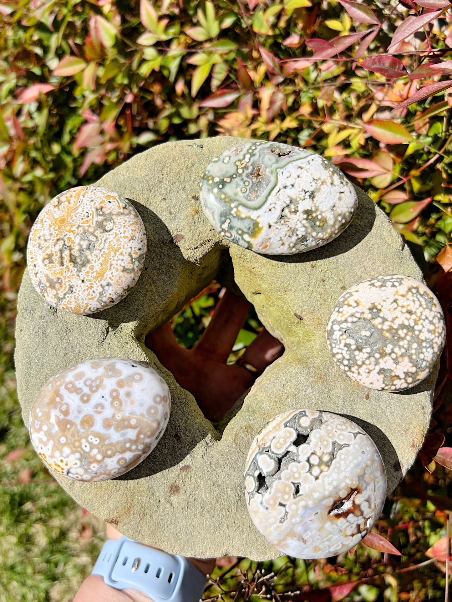 Druzy 8th Vein Ocean Jasper Palm Stones