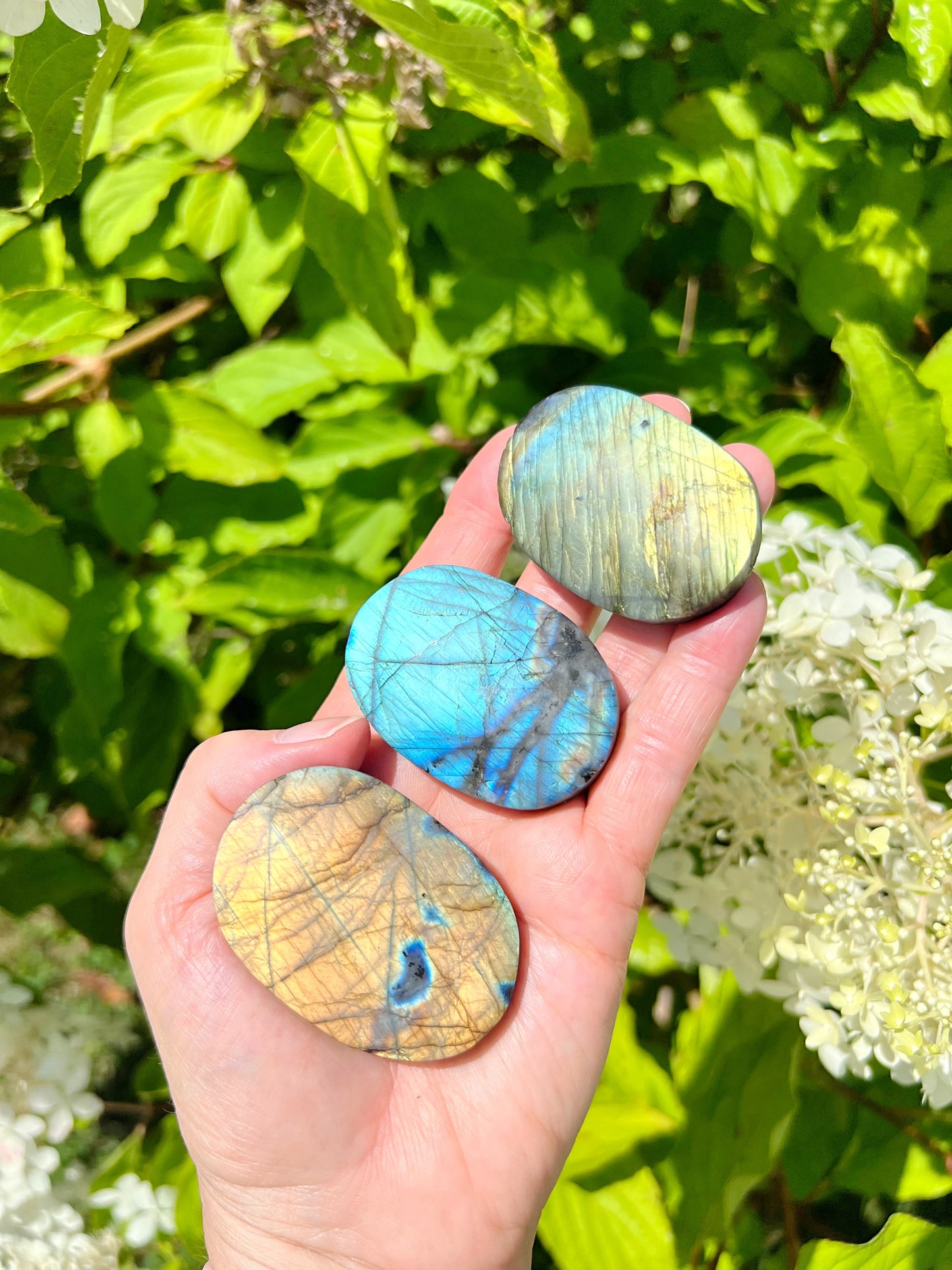Labradorite Palm Stones