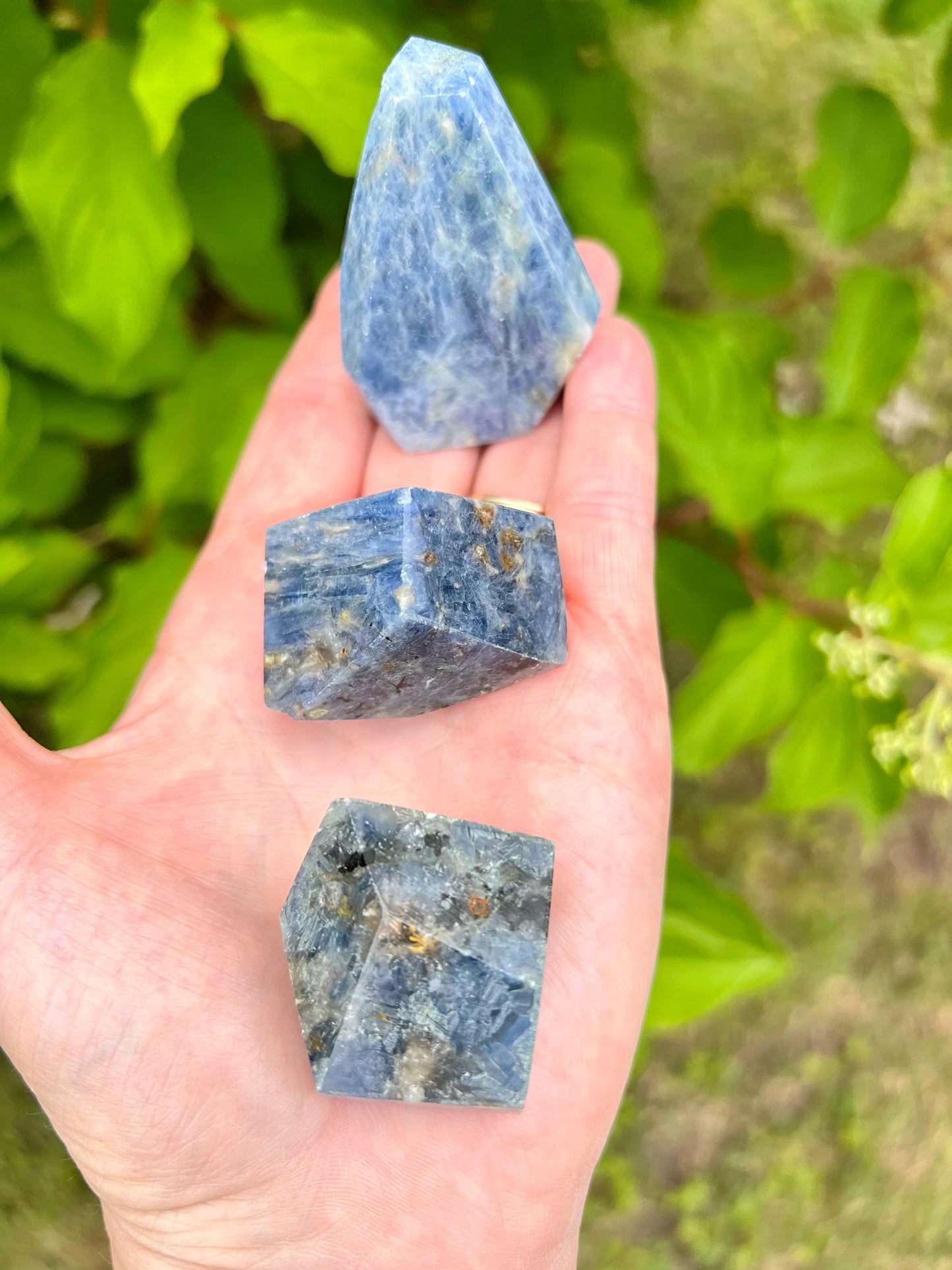 Blue Kyanite Freeforms