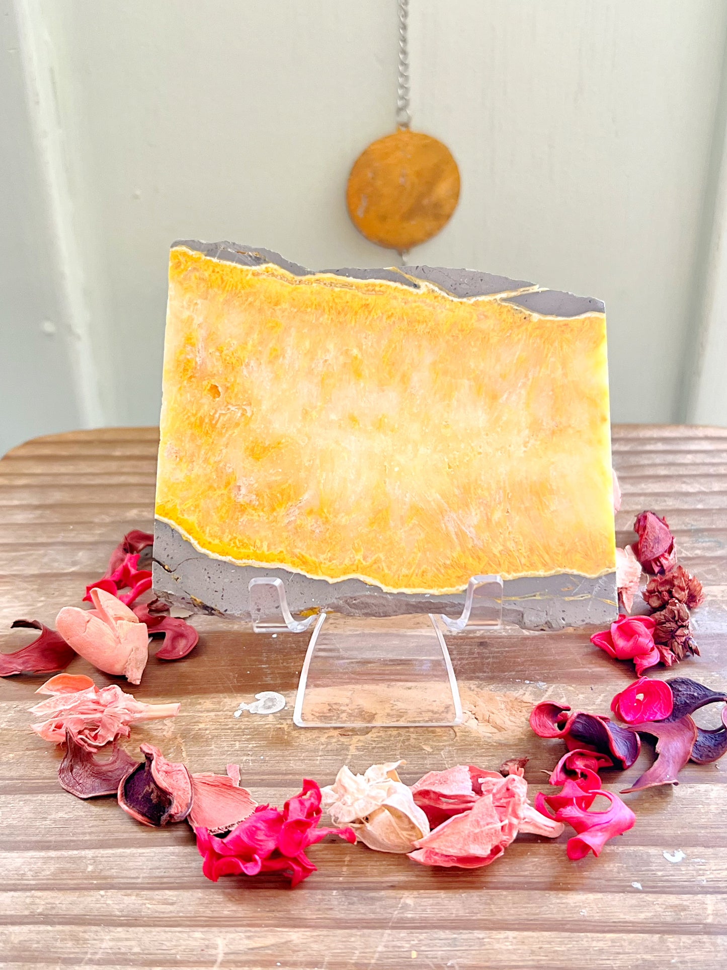 Bumblebee Jasper Slab on Stand