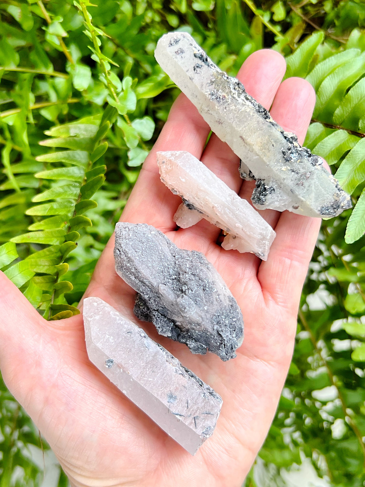 Mongolian Quartz Clusters