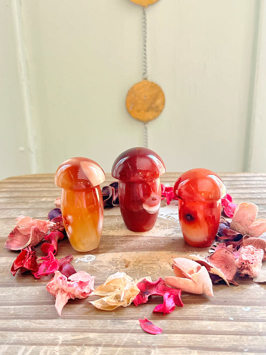 Carnelian Mushroom Carvings