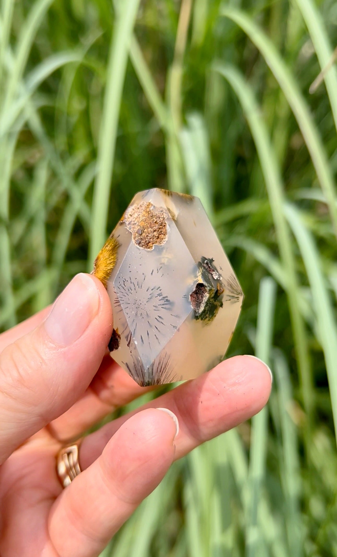 Golden Rutile Agate Freeforms