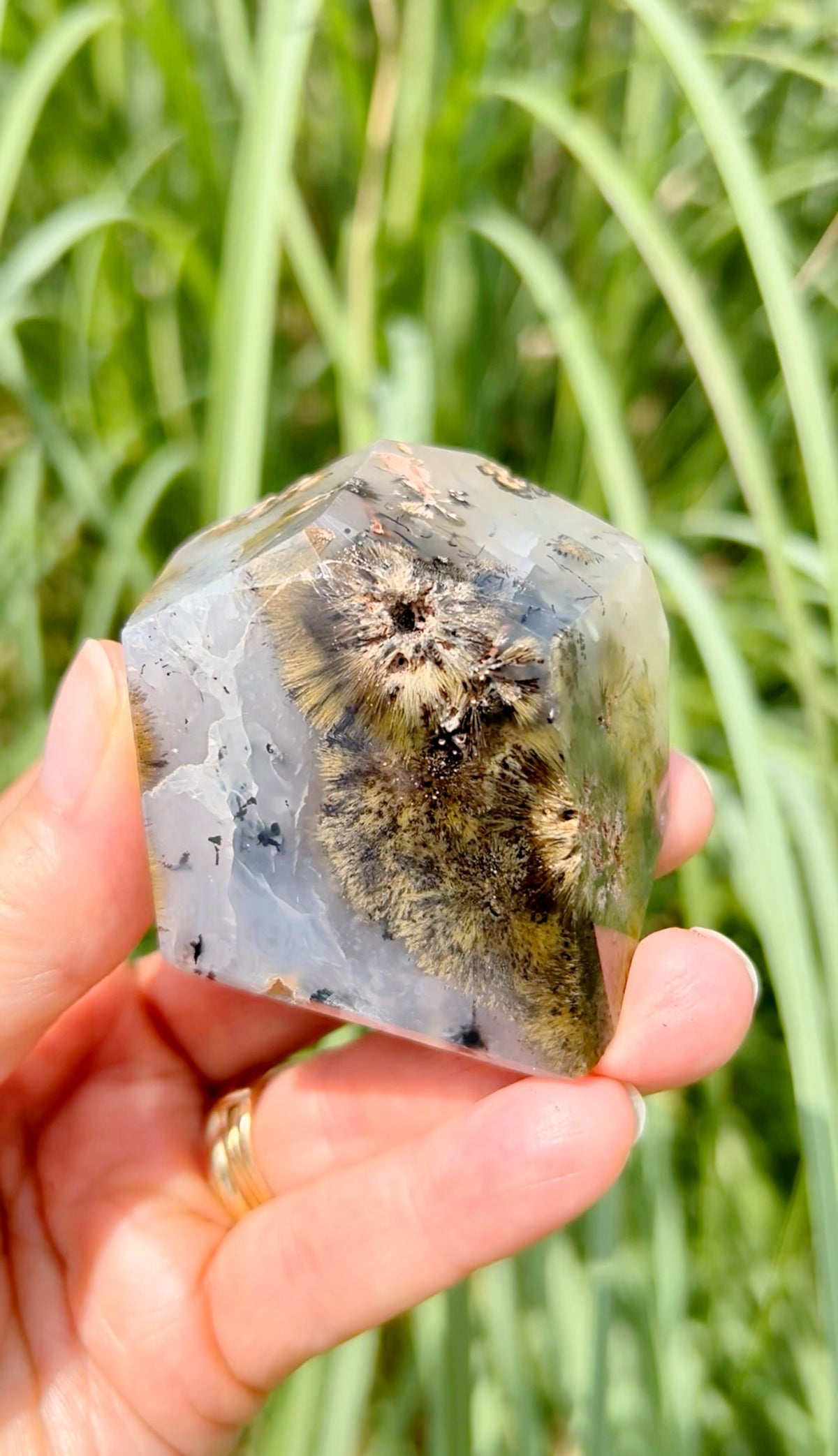Golden Rutile Agate Freeforms