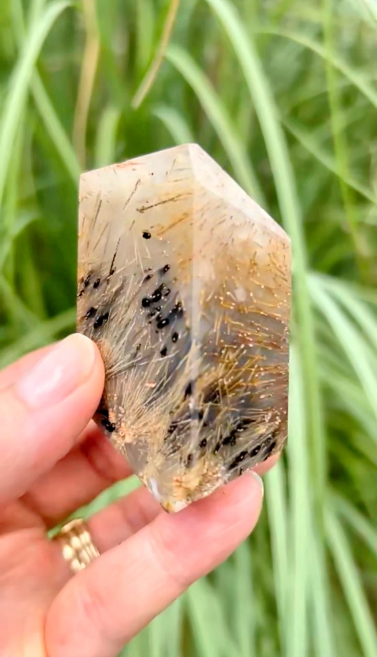 Golden Rutile Agate Freeforms