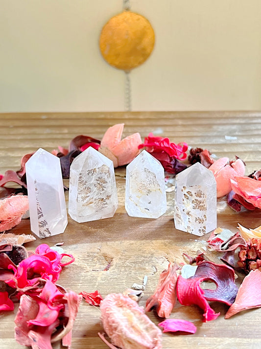Dendritic Quartz Towers