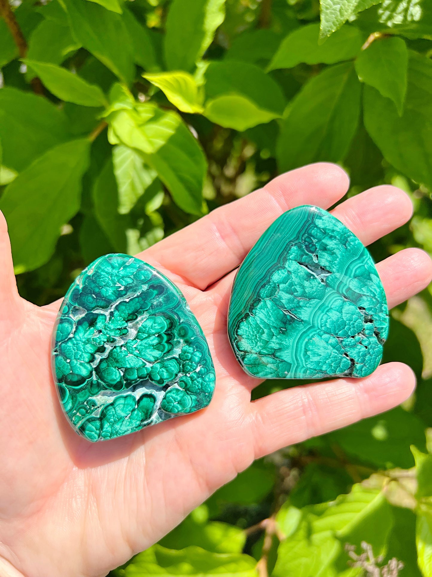 Malachite Freeforms