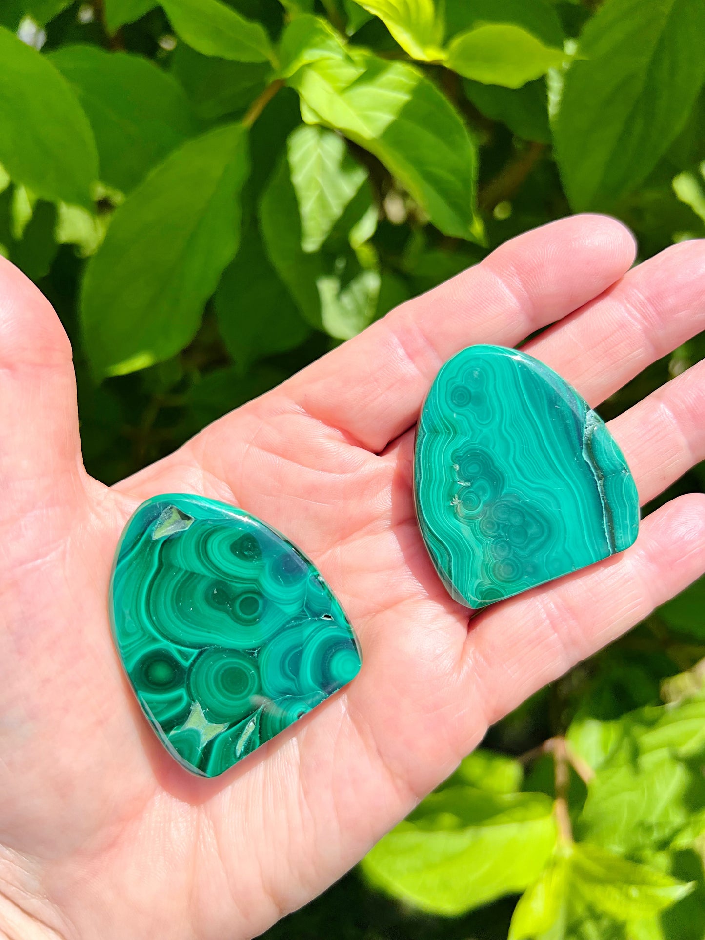 Malachite Freeforms