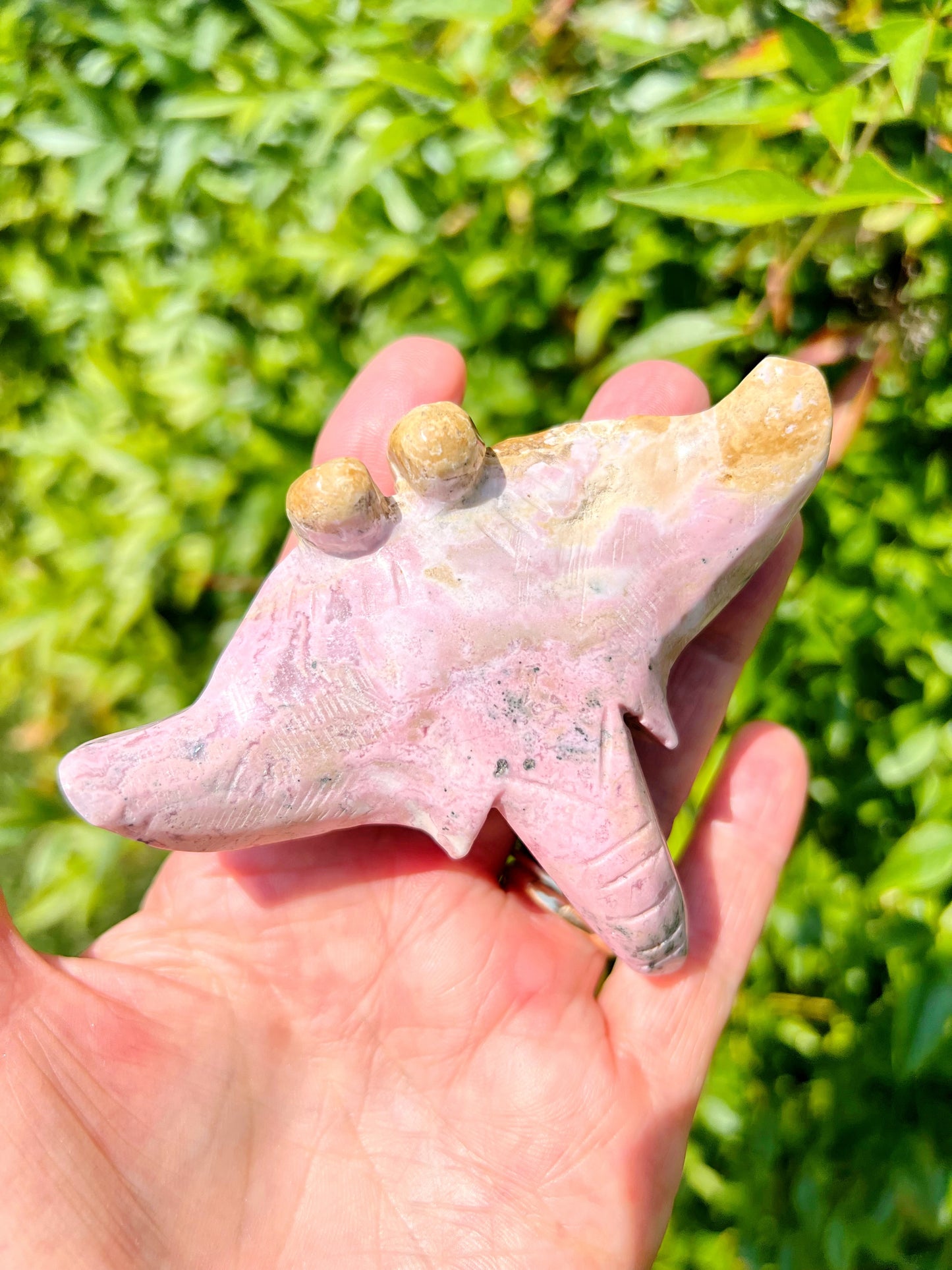 Peruvian Rhodonite Stingray Carving