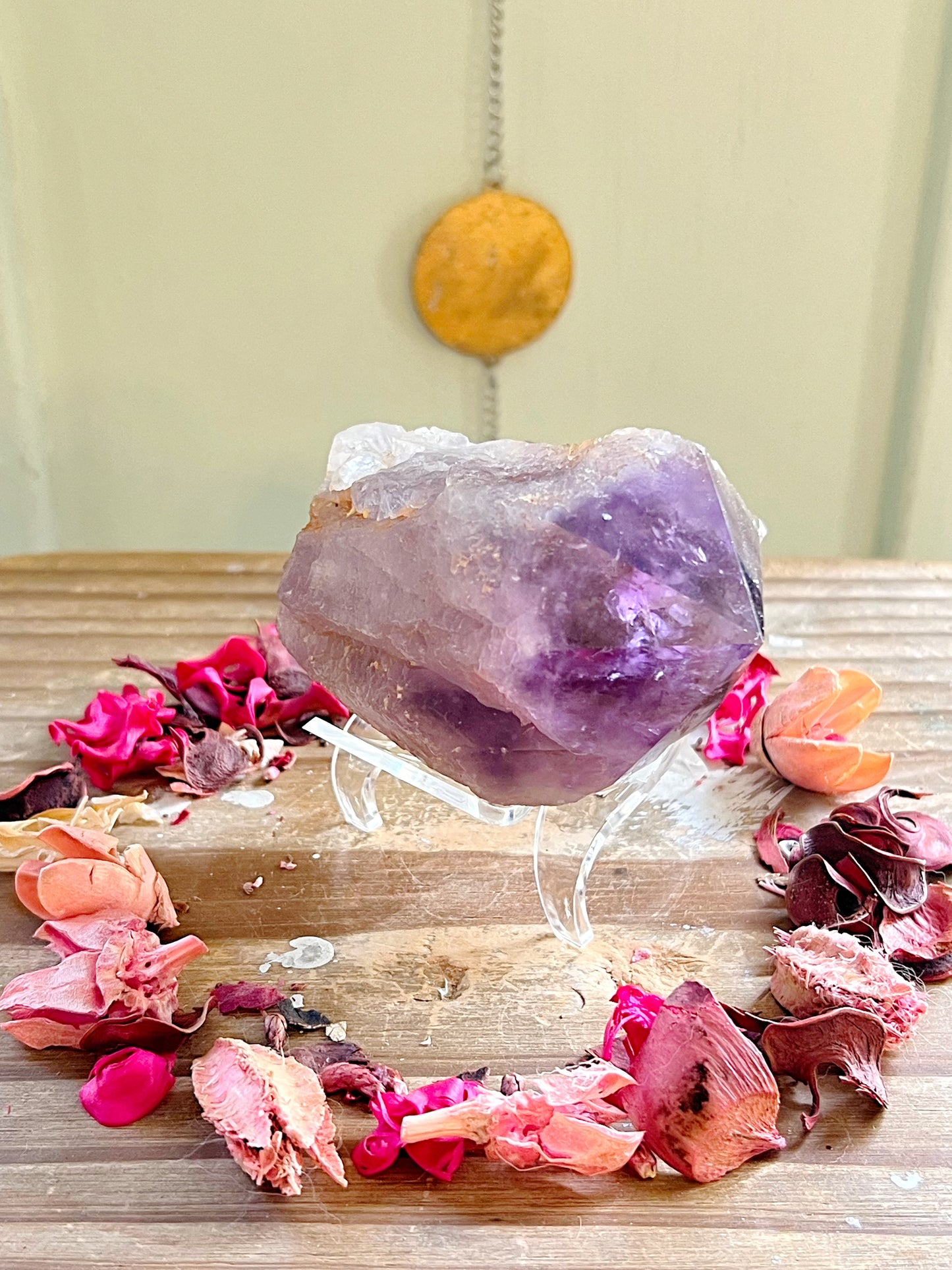 Amethyst Root on Stand