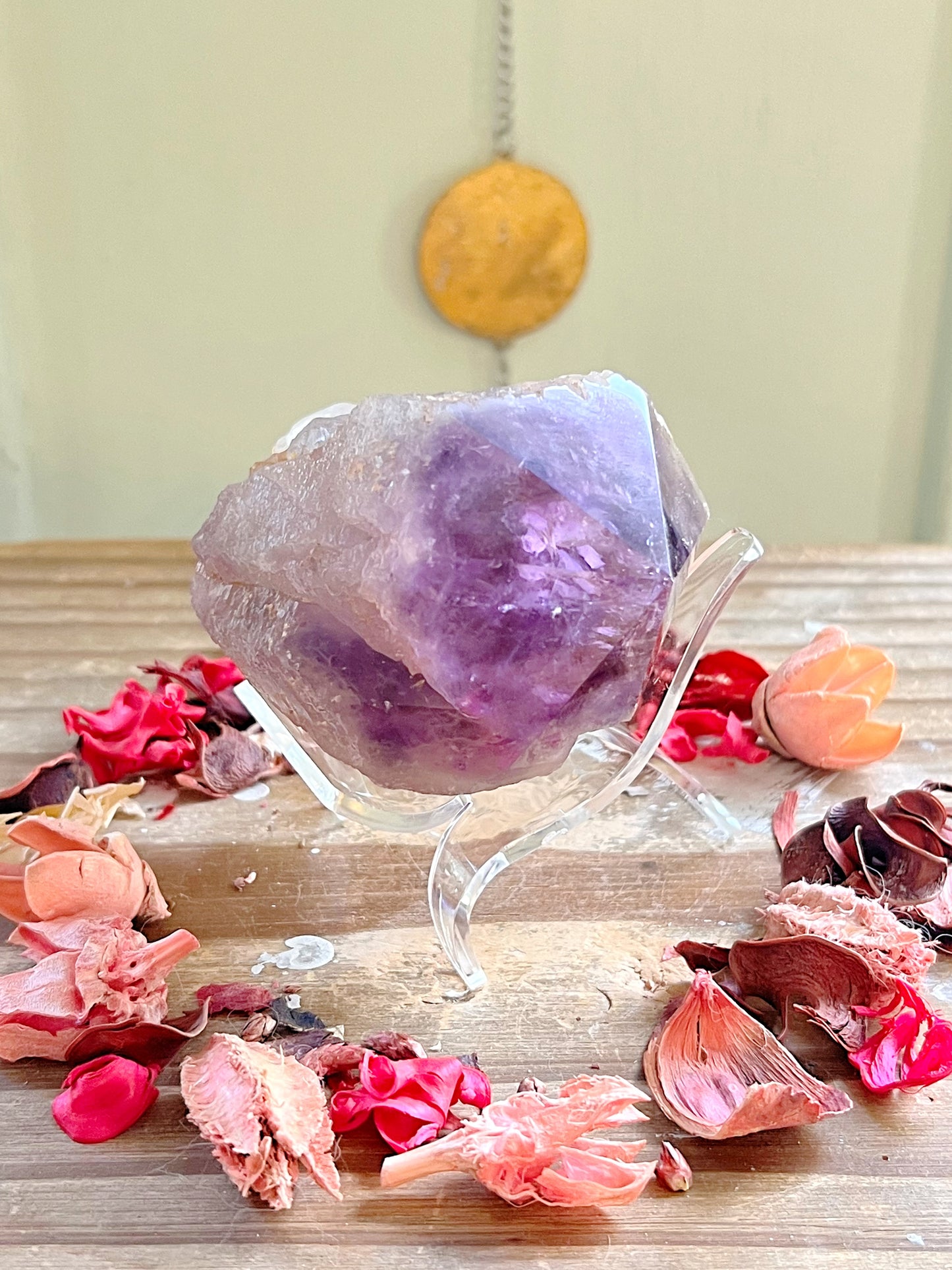 Amethyst Root on Stand