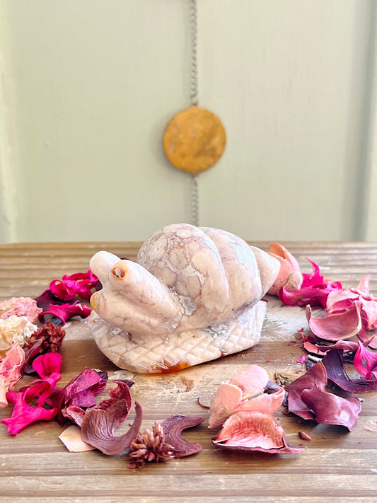 Druzy Flower Agate Snail Carving