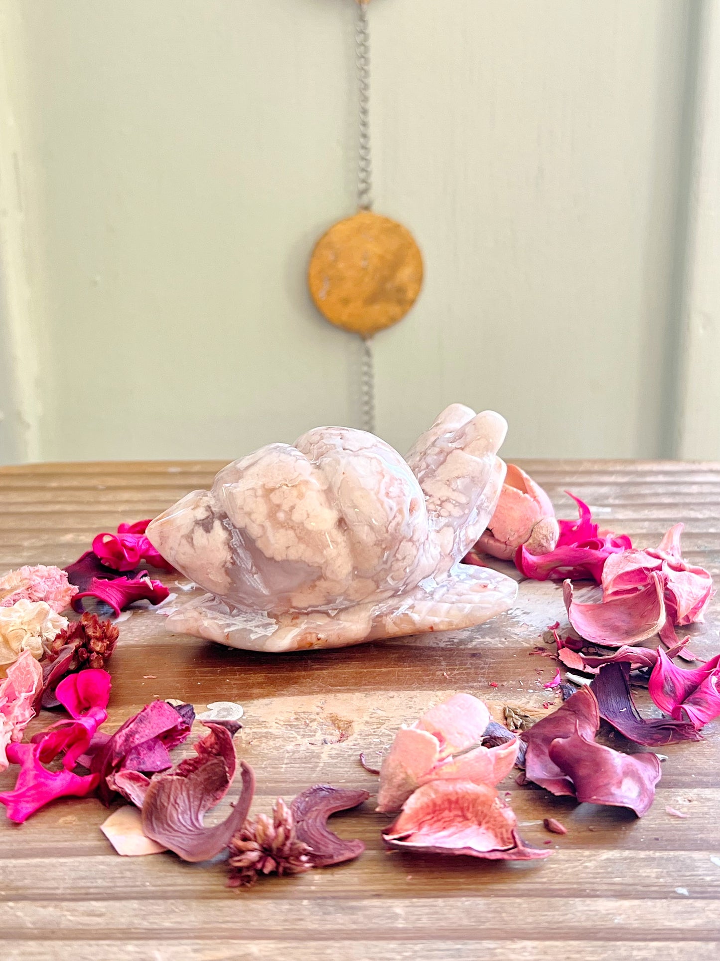 Druzy Flower Agate Snail Carving