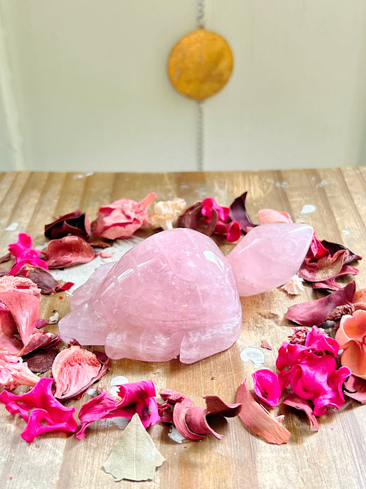 Star Rose Quartz Sea Turtle Carving