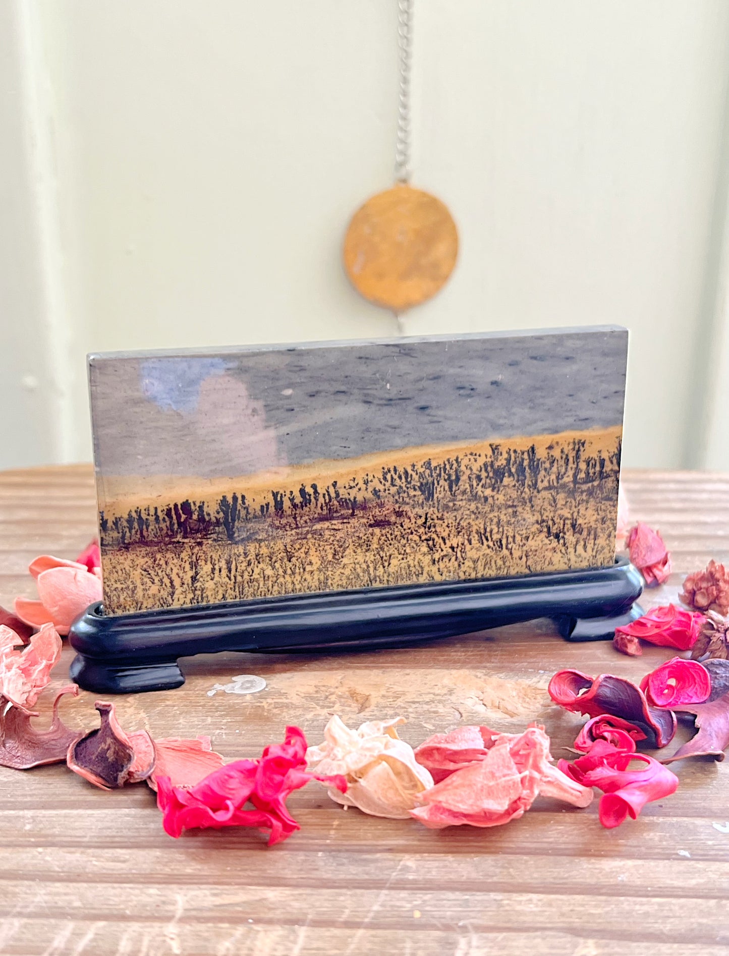 Picture Jasper Picture Slabs on Stands